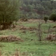 Image for article titled Monty Python’s Flying Circus: “How Not To Be Seen”/“Spam”